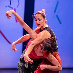 Bloom 20251106 003.jpg