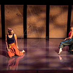 Bloom 20251106 016.jpg