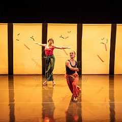 Bloom 20251106 022.jpg