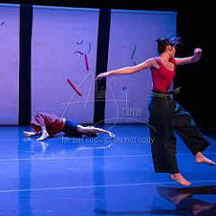 Bloom 20251106 031.jpg