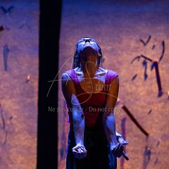 Bloom 20251106 041.jpg