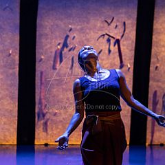 Bloom 20251106 043.jpg