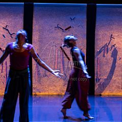 Bloom 20251106 046.jpg