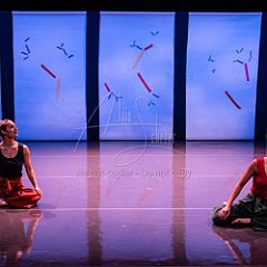 Bloom 20251106 053.jpg