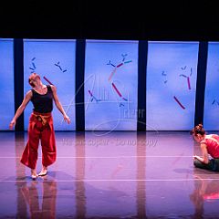 Bloom 20251106 056.jpg