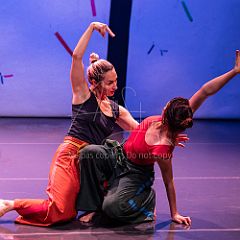 Bloom 20251106 069.jpg