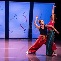 Bloom 20251106 083.jpg