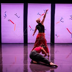 Bloom 20251106 090.jpg