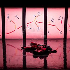 Bloom 20251106 093.jpg