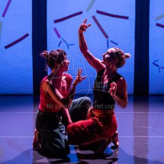 Bloom 20251106 101.jpg