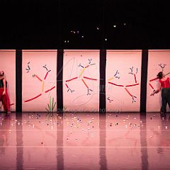 Bloom 20251106 120.jpg