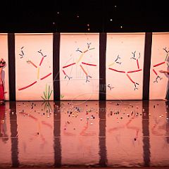 Bloom 20251106 122.jpg