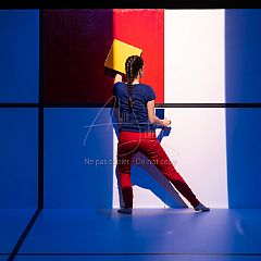 Feuilles 20220411 092.jpg