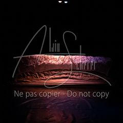 GrainsDeVolutes 20211130 026.jpg