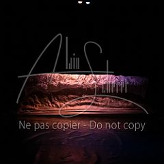 GrainsDeVolutes 20211130 027.jpg