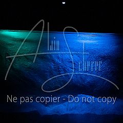 GrainsDeVolutes 20211130 148.jpg