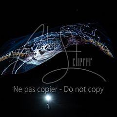 GrainsDeVolutes 20211130 253.jpg