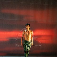 LesOiseaux 20250629 003.jpg