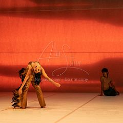 LesOiseaux 20250629 005.jpg