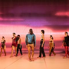 LesOiseaux 20250629 016.jpg