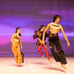 LesOiseaux 20250629 022.jpg