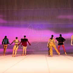 LesOiseaux 20250629 023.jpg