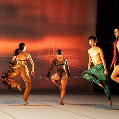 LesOiseaux 20250629 042.jpg