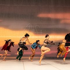 LesOiseaux 20250629 050.jpg