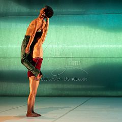 LesOiseaux 20250629 063.jpg