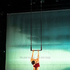 LesOiseaux 20250629 066.jpg