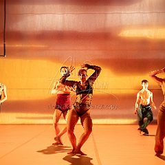 LesOiseaux 20250629 091.jpg