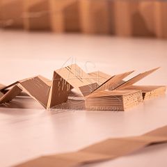 Moftarak 20251203 007.jpg